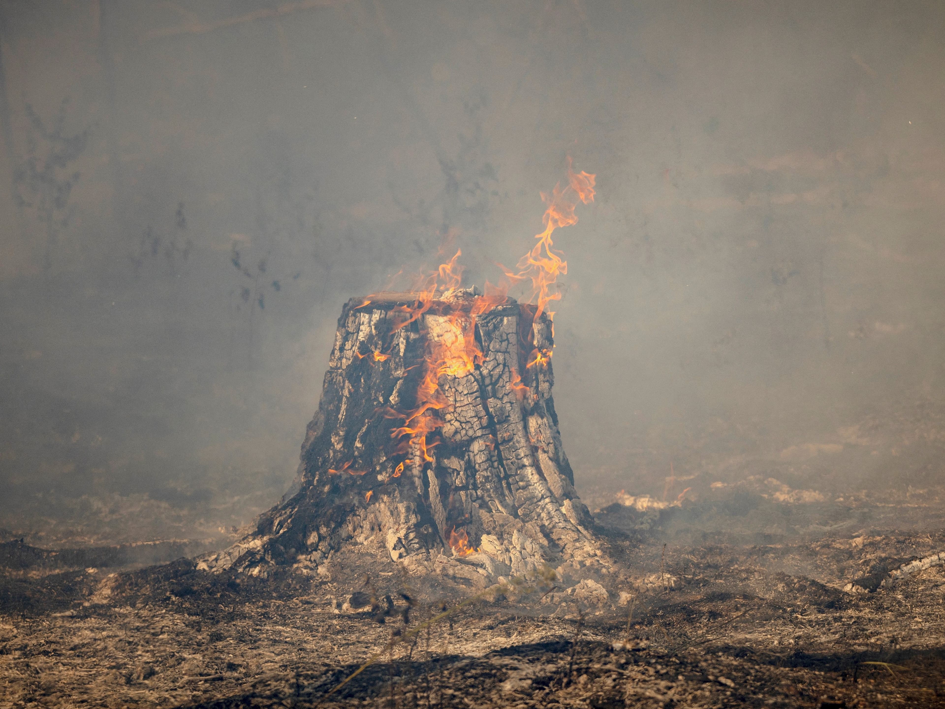 Fact Check: Is Wyoming on fire?