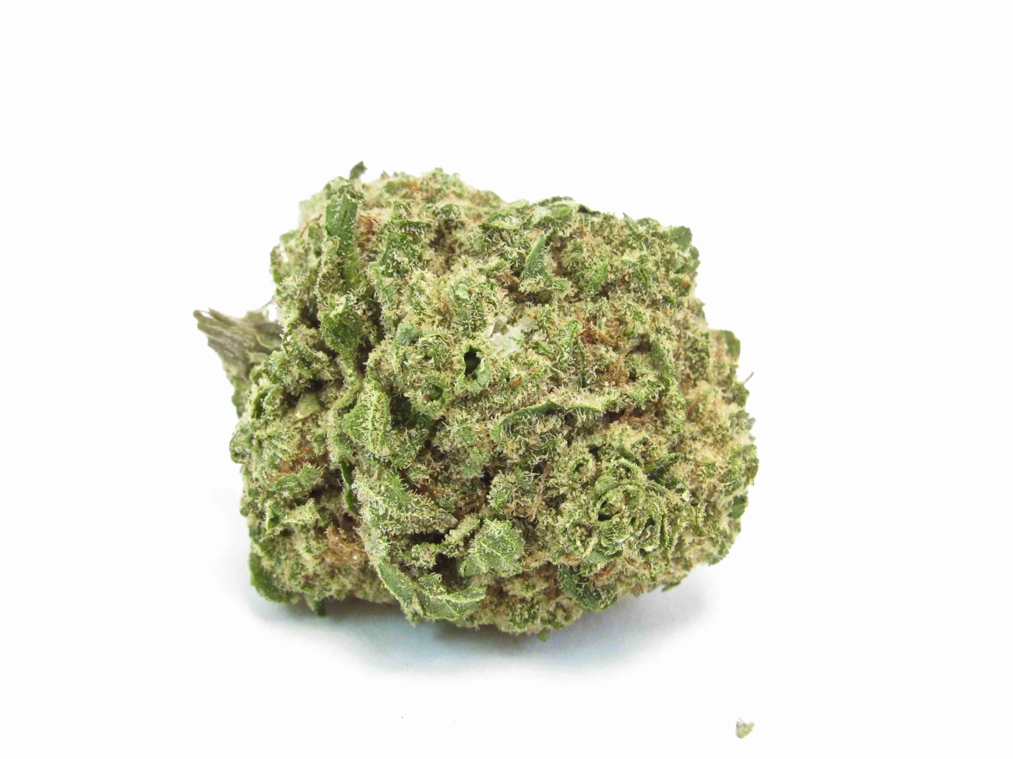 Fact Check: Is XJ13 indica or sativa?