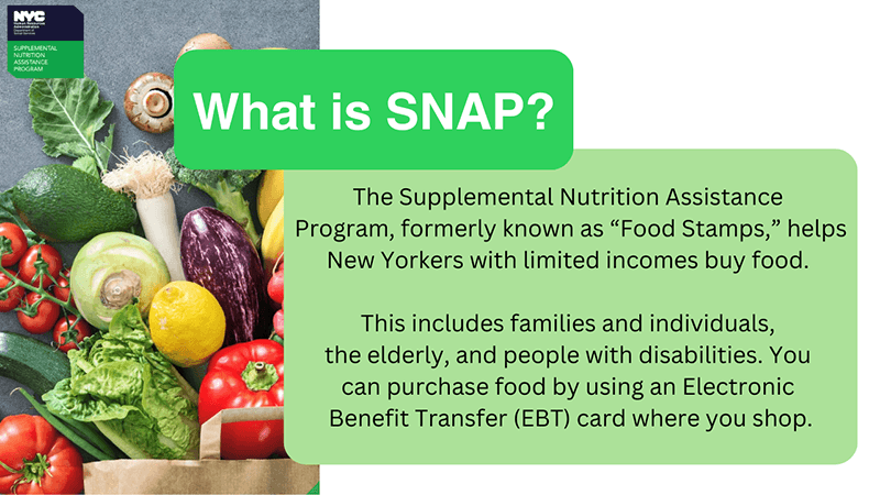 Fact Check: Food stamps provide essential support for low-income families.