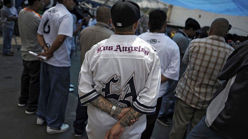 Fact Check: MS-13 is a transnational gang originating from Central America.