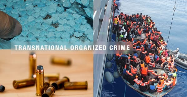 Fact Check: Transnational gangs often engage in drug trafficking and violent crime.
