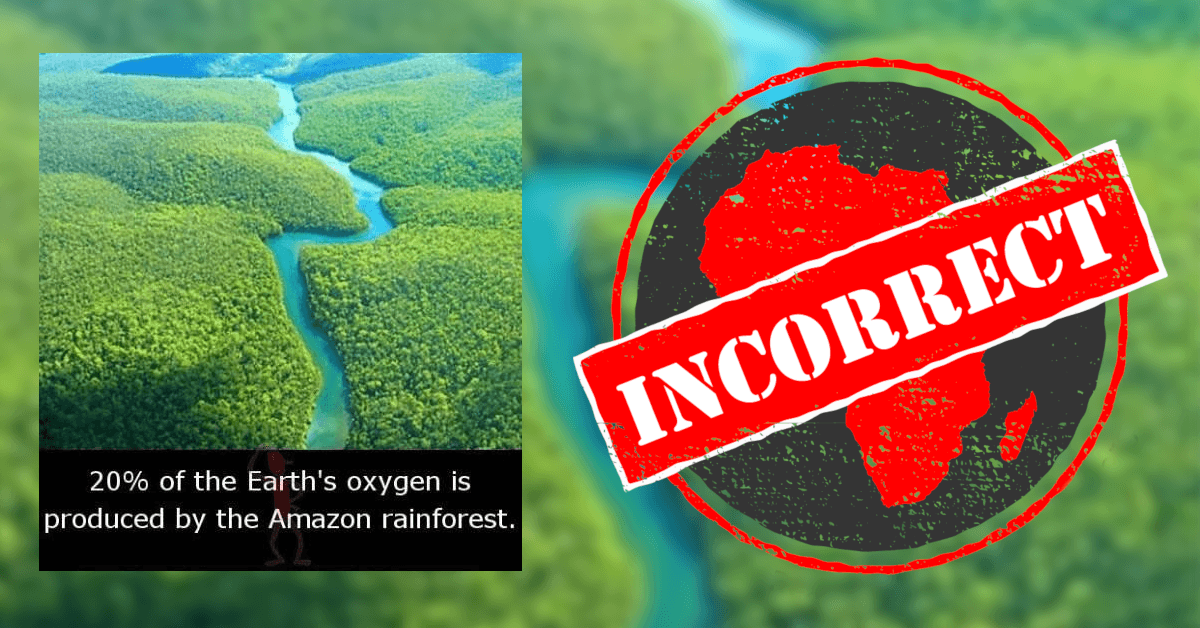 Fact Check: The Amazon rainforest produces 20% of the world's oxygen.