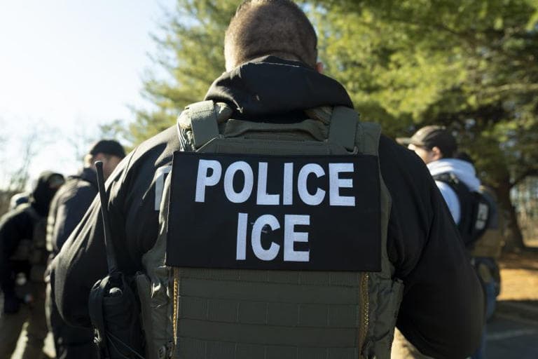 Fact Check: ICE detention is not intended to be punitive according to immigration policy.