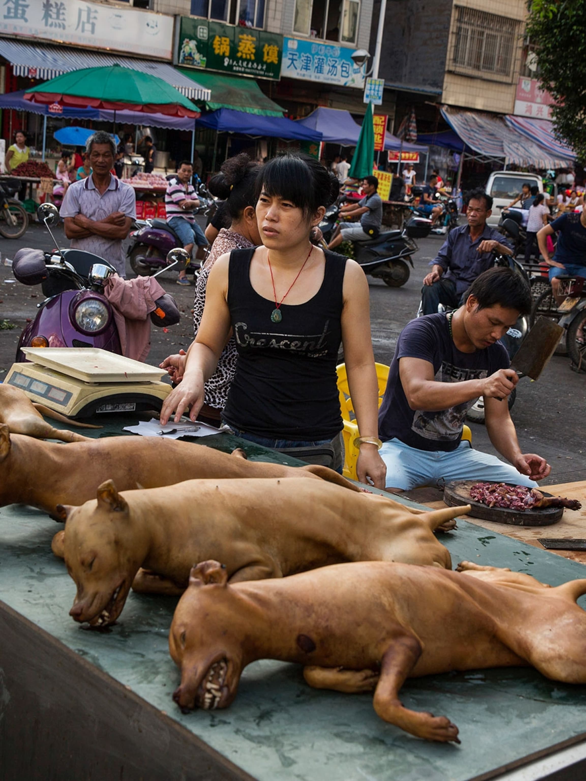 Fact Check: Are they actually eating the dogs and eating the cats