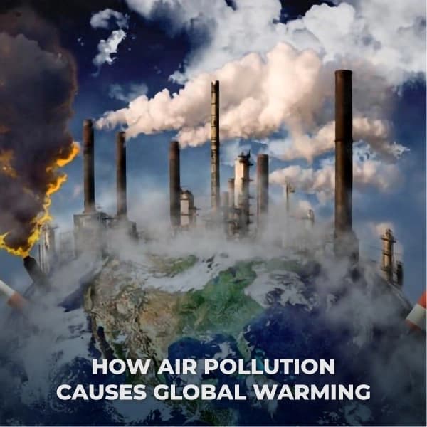 Fact Check: Air pollution causes significant health risks globally.
