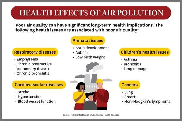 Fact Check: Air pollution causes significant health risks, including respiratory diseases.