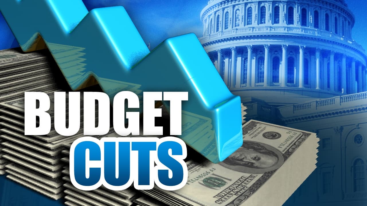 Fact Check: Government spending cuts can impact public service efficiency and availability.