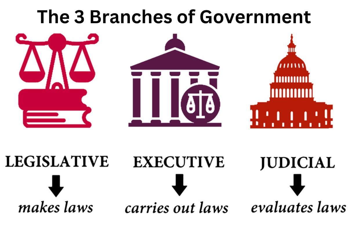 Fact Check: Public opinion can shift based on government policy decisions.