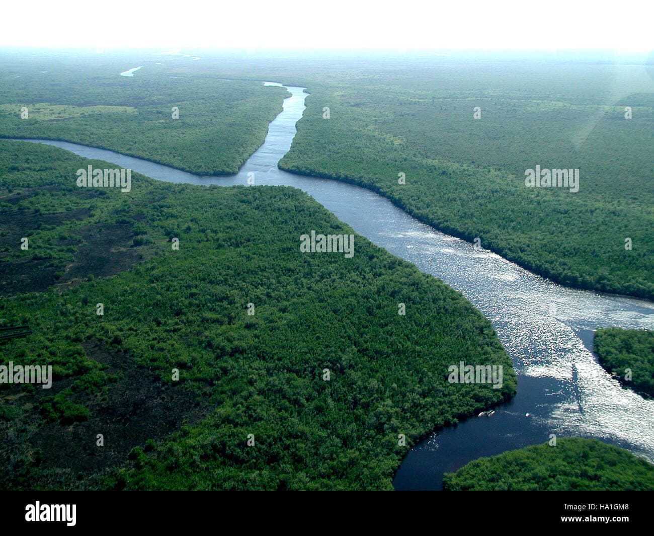 Fact Check: The Florida Everglades is a unique ecosystem with diverse wildlife.