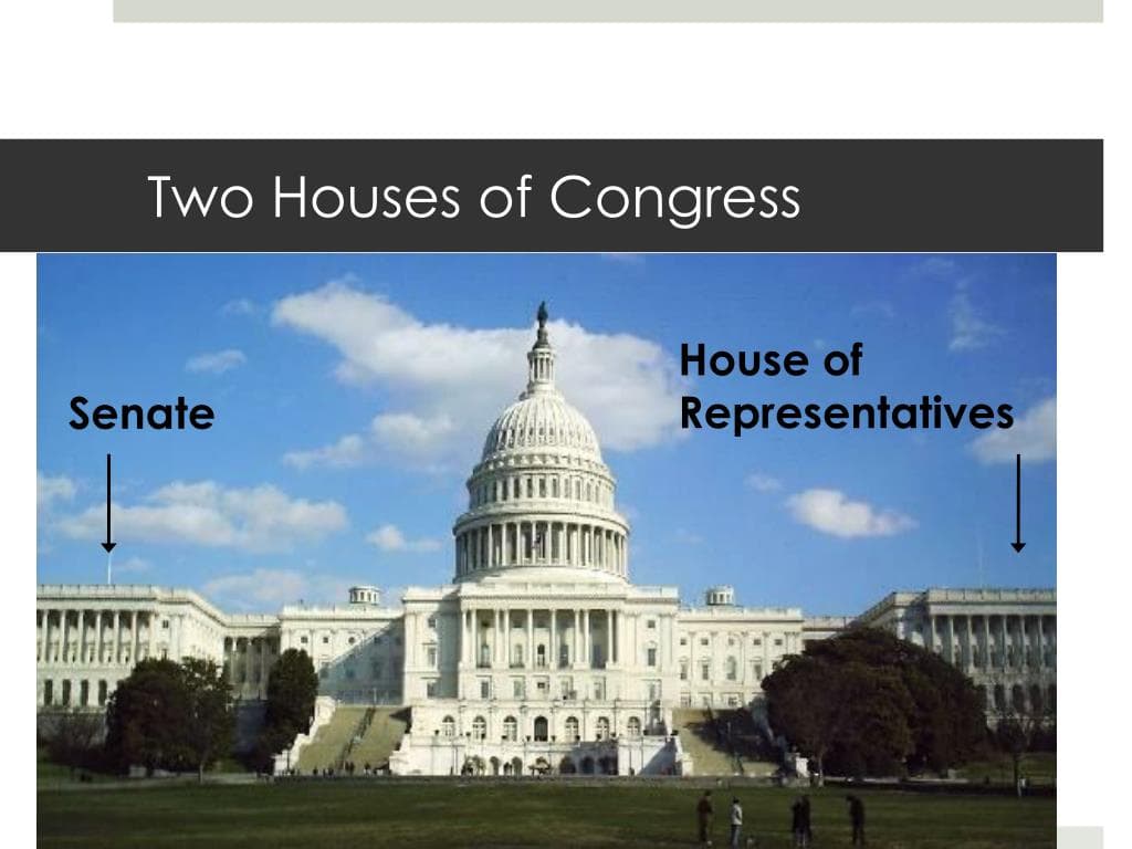 Fact Check: The U.S. Congress consists of two chambers: the House of Representatives and the Senate.