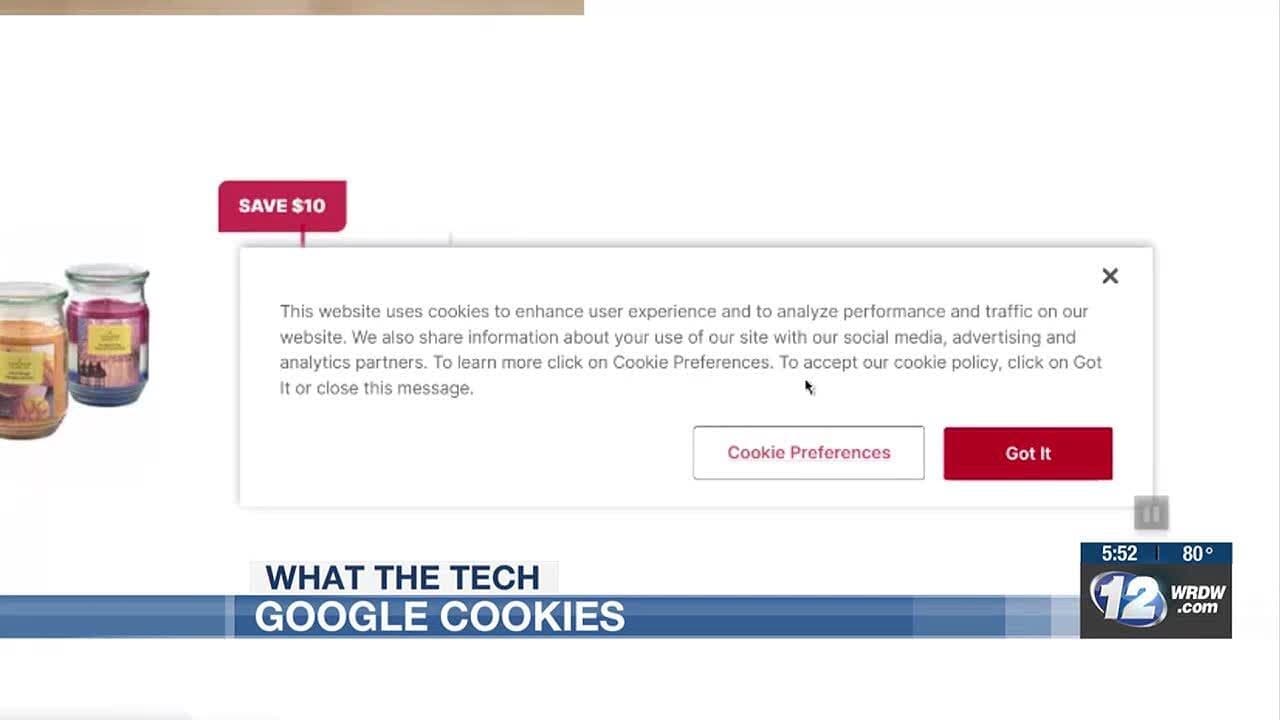 Fact Check: Cookies are used to enhance user experience on websites