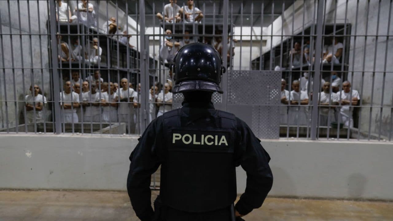 Fact Check: Gang violence contributes to high murder rates in El Salvador.