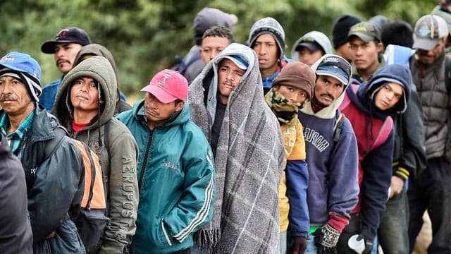 Fact Check: Unauthorized immigration is a significant issue in the United States.