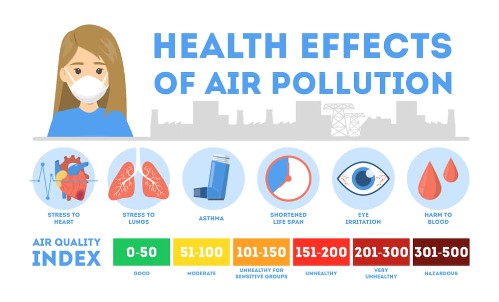 Fact Check: Air pollution can have serious health impacts.