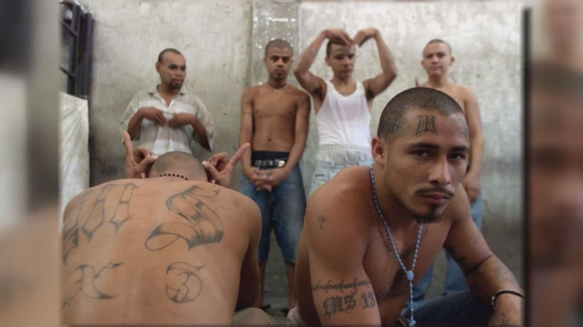 Fact Check: MS-13 is a transnational gang involved in violent crime.