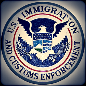 Fact Check: ICE is a federal agency responsible for immigration enforcement in the United States.
