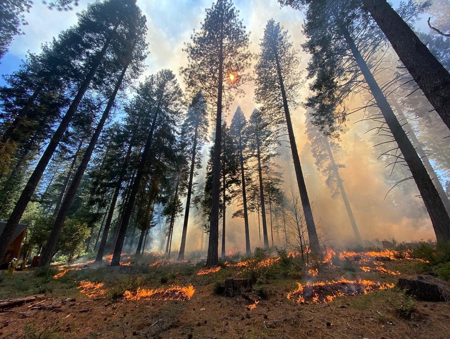Fact Check: California experiences frequent wildfires due to its climate.