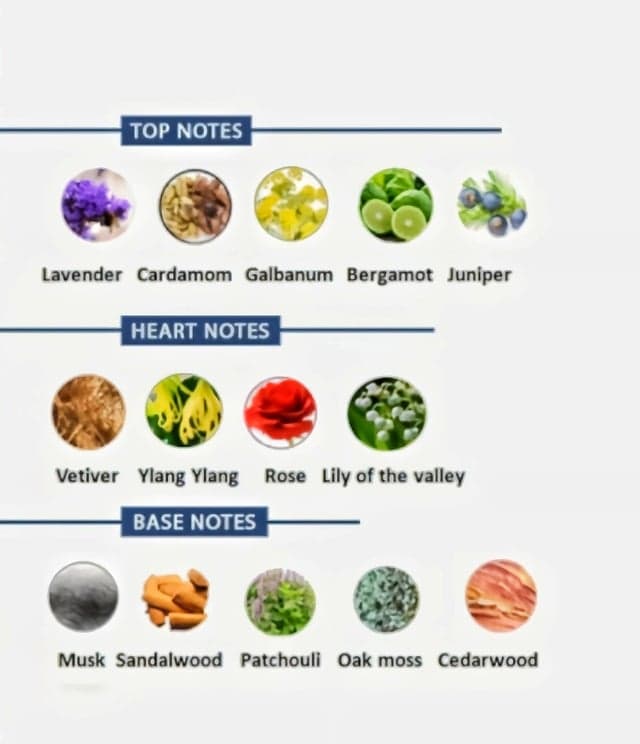 Fact Check: Is Ylang Ylang a base note?