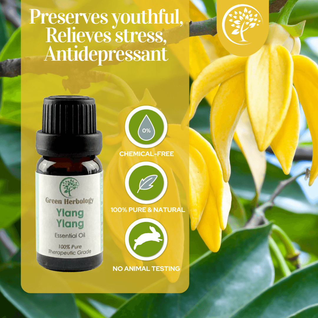 Fact Check: Is Ylang Ylang safe for dogs?