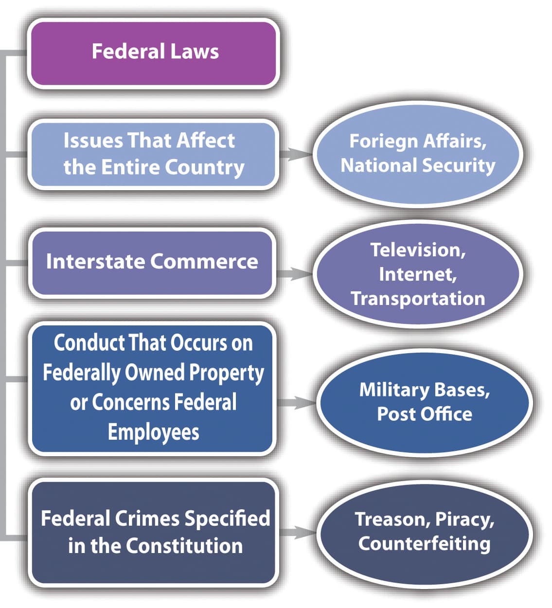Fact Check: The U.S. federal government can enact tax laws.