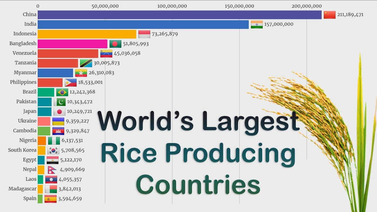 Fact Check: The United States is one of the world's largest rice producers.