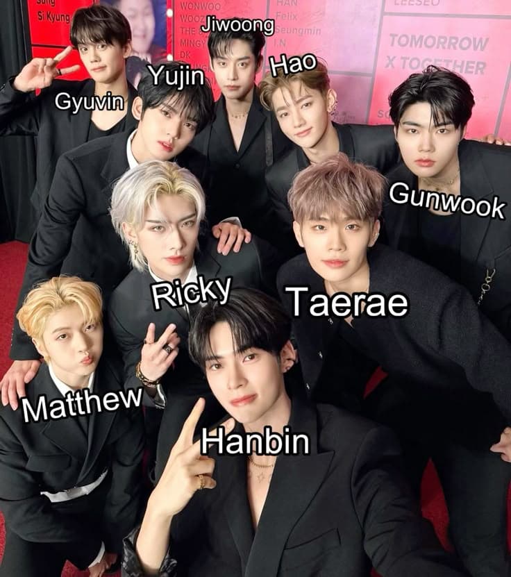 Fact Check: Is ZB1 a temporary group?