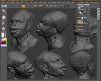 Fact Check: Is ZBrush free?