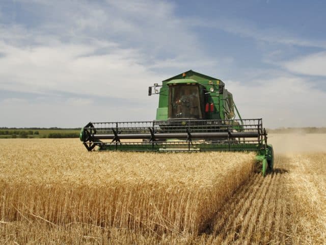 Fact Check: Ukraine must meet EU agricultural production standards by 2028.
