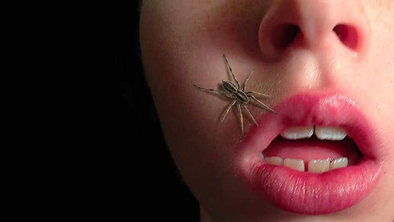Fact Check: you swallow spiders in your sleep
