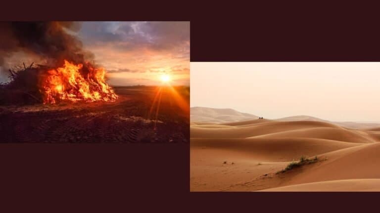 Fact Check: Heat waves can cause significant impacts on agriculture.