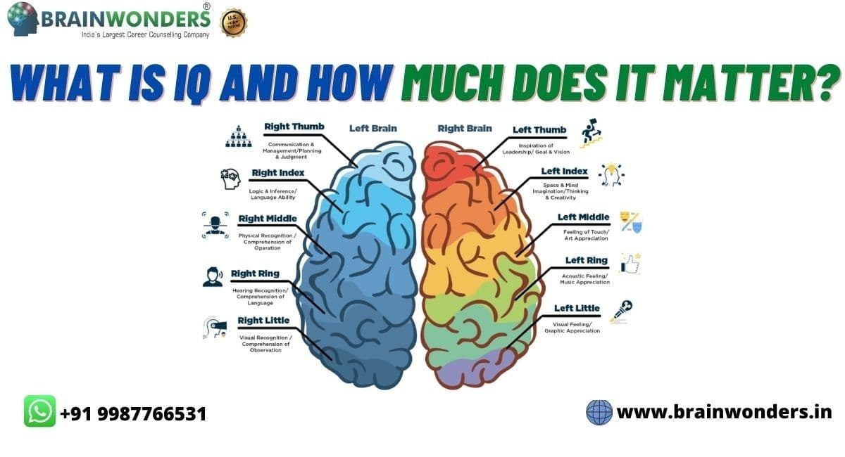 Fact Check: IQ tests are an accurate and reliable way to measure intelligence