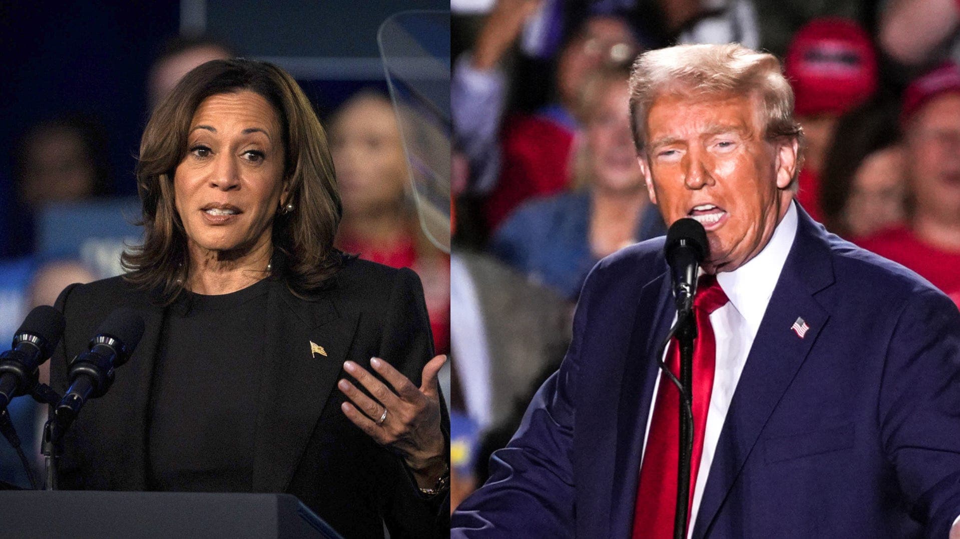 Fact Check: Democratic and Republican parties have opposing views on national security.