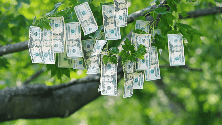 Fact Check: Money grows on trees