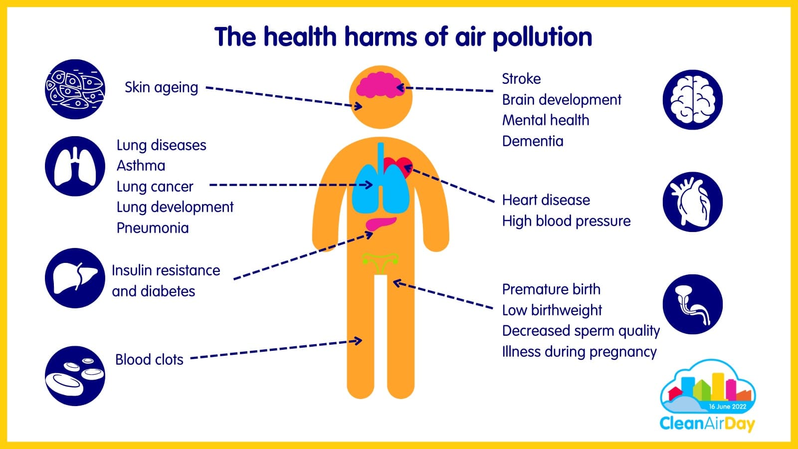 Fact Check: Air pollution can negatively impact public health.
