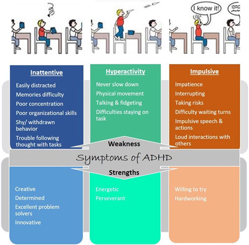 Fact Check: Is adhd genetic?