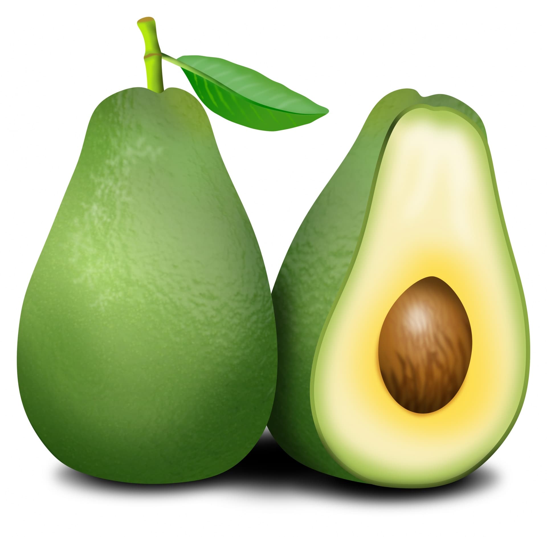 Fact Check: Is avocado a fruit?
