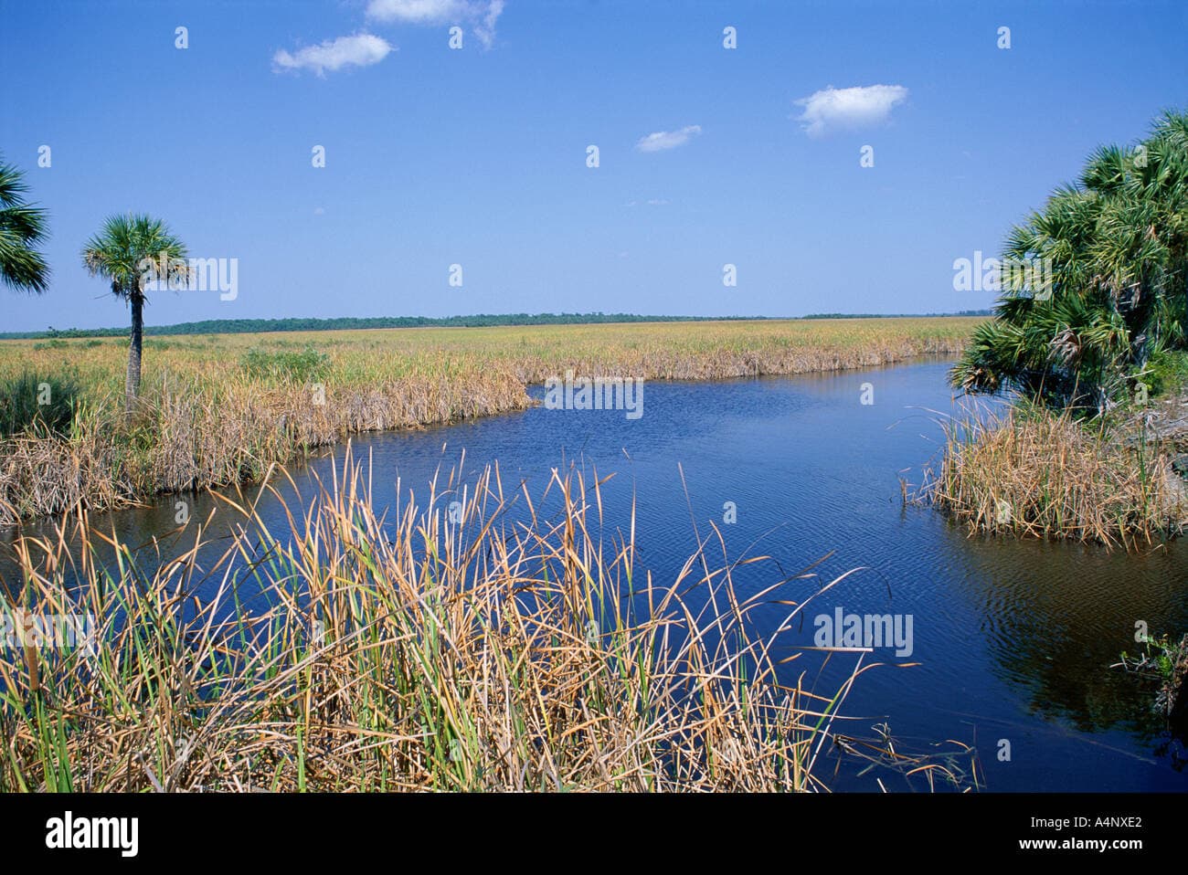 Fact Check: The Florida Everglades is a designated national park and UNESCO World Heritage site.