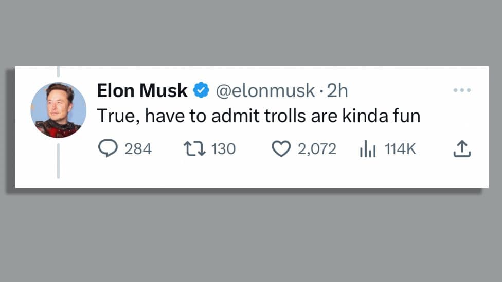 Fact Check: Elon Musk is dumb