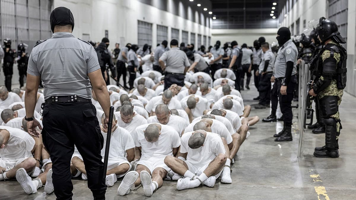 Fact Check: The United States has deported thousands of immigrants to El Salvador.
