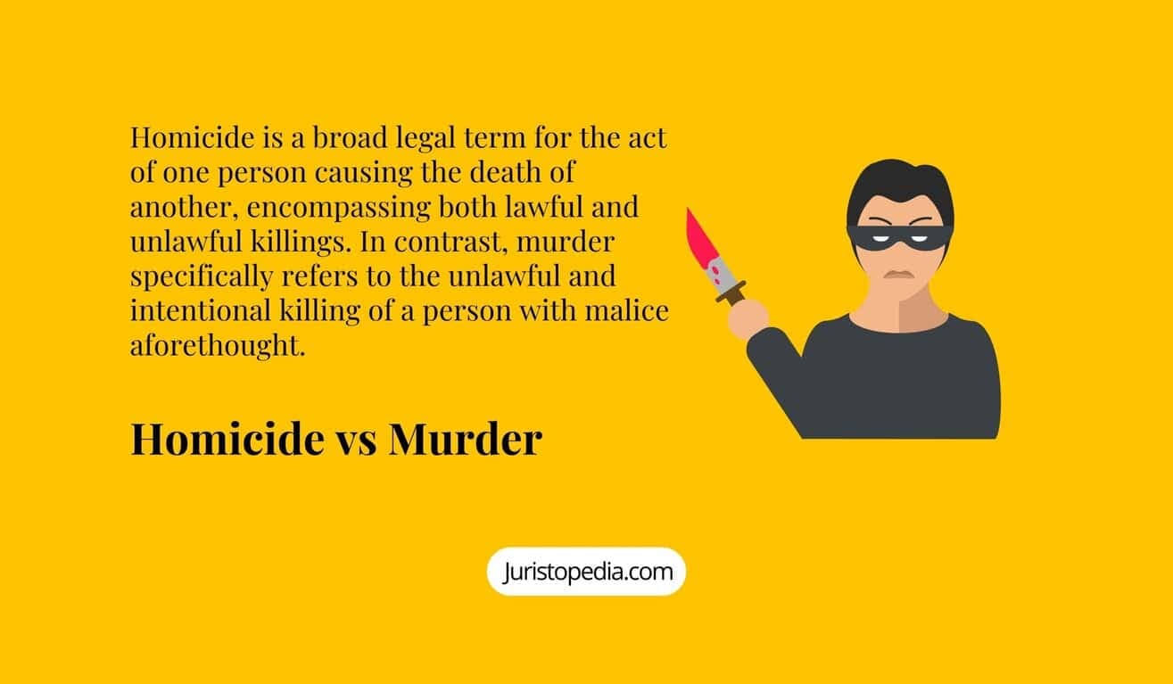 Fact Check: Murder is defined as the unlawful killing of another person.