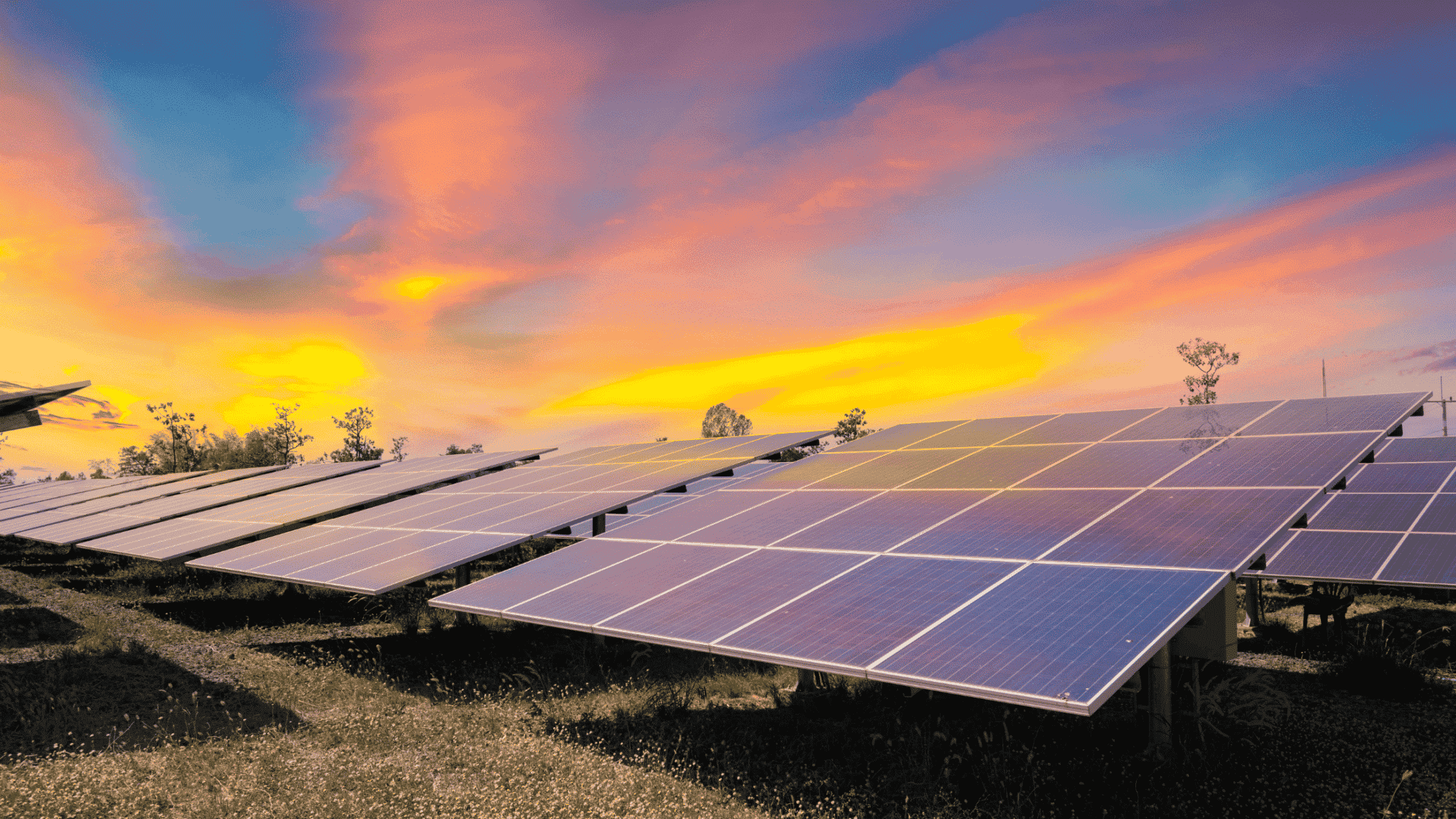 Fact Check: Solar energy is a rapidly growing sector in the energy industry.