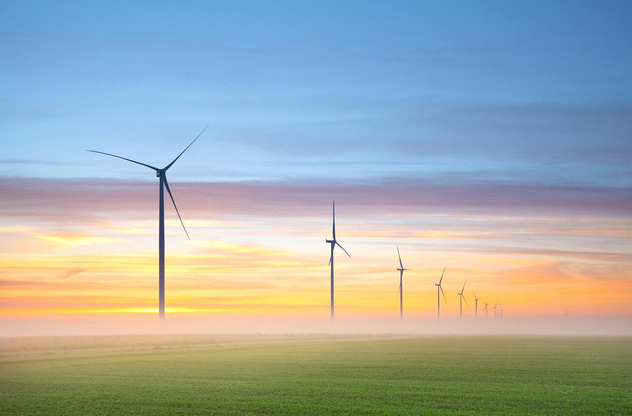Fact Check: Wind energy is one of the fastest-growing renewable energy sources.