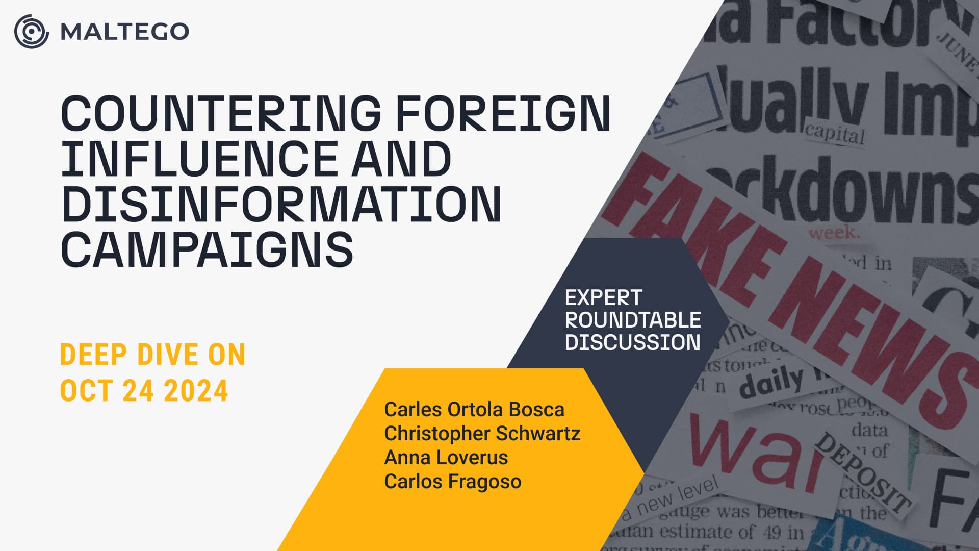 Fact Check: Disinformation campaigns can influence the outcomes of elections.