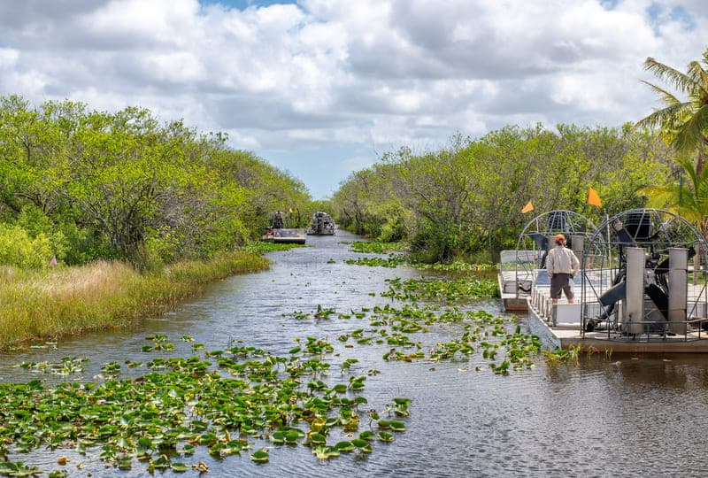Fact Check: The Florida Everglades is a unique ecosystem designated as a national park.