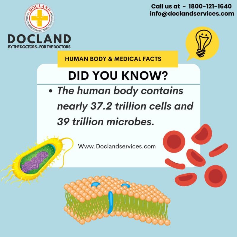 Fact Check: The average human body contains about 37.2 trillion cells.