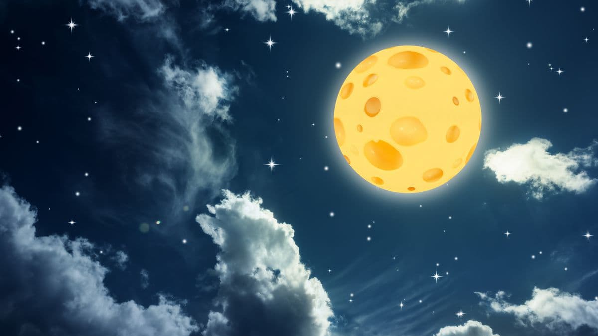 Fact Check: The moon is made of cheese
