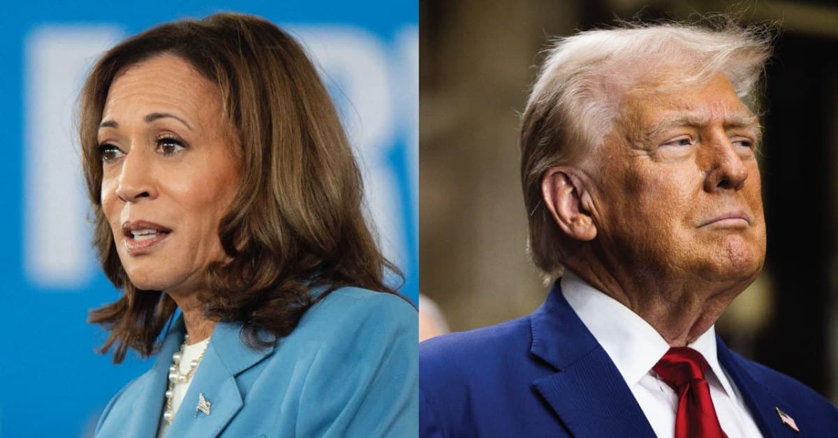 Fact Check: Political campaigns often involve contrasting candidates' ideas.