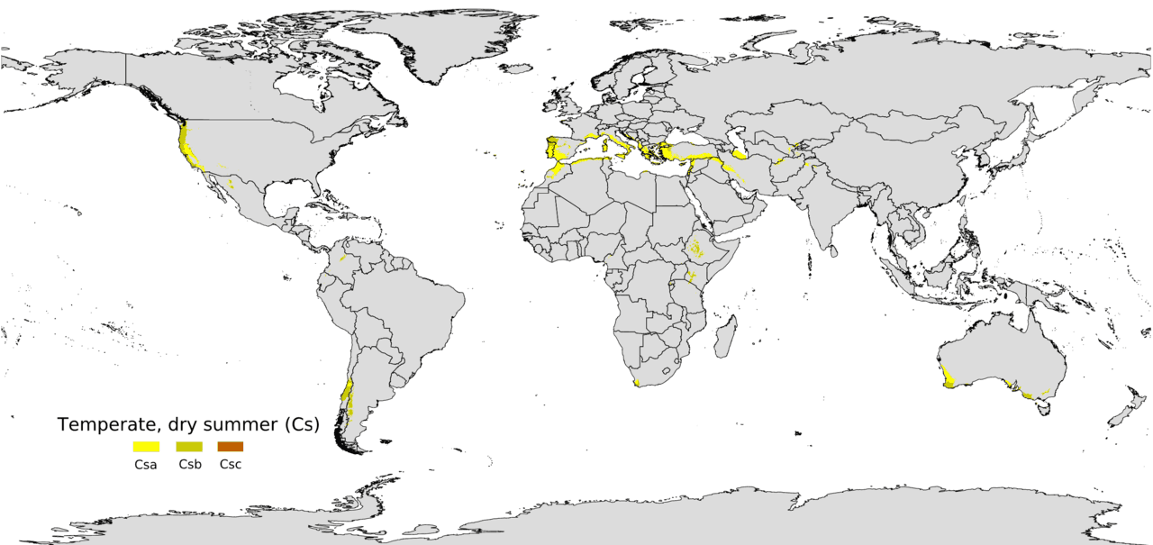 Fact Check: The Mediterranean region is known for its warm climate.