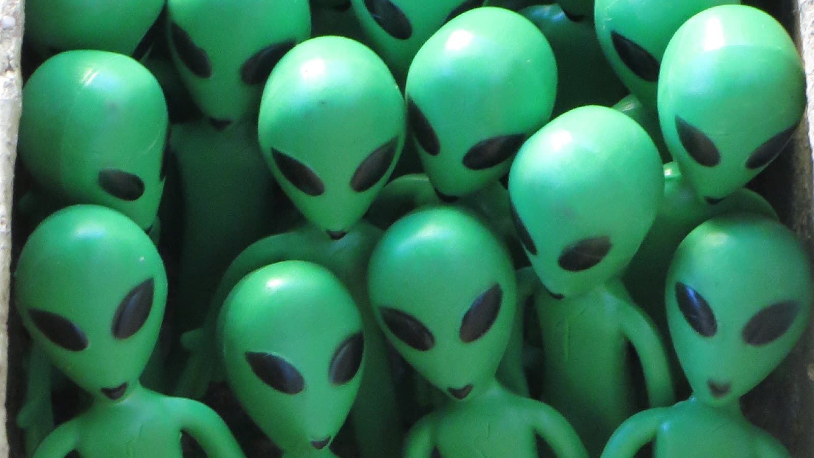 Fact Check: Do aliens mix with the general population unseen