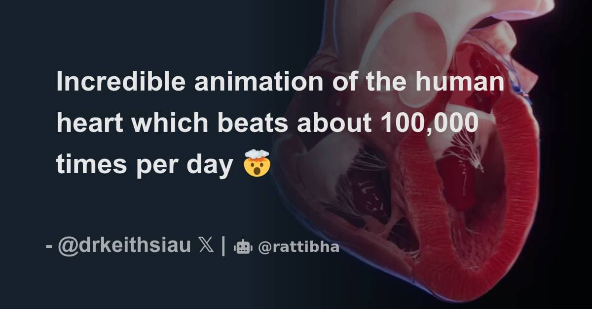 Fact Check: The average human heart beats about 100,000 times per day.